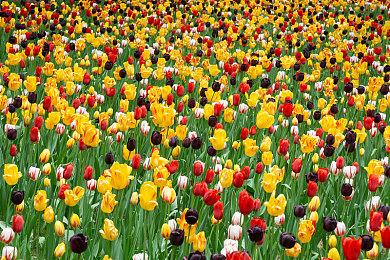 国产RTS新星《异星前哨》各平台商店正式公开，现可加入愿望单