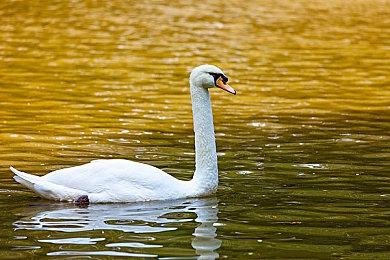 《天国：拯救2》官方CG宣传片 美丽女主性感出镜